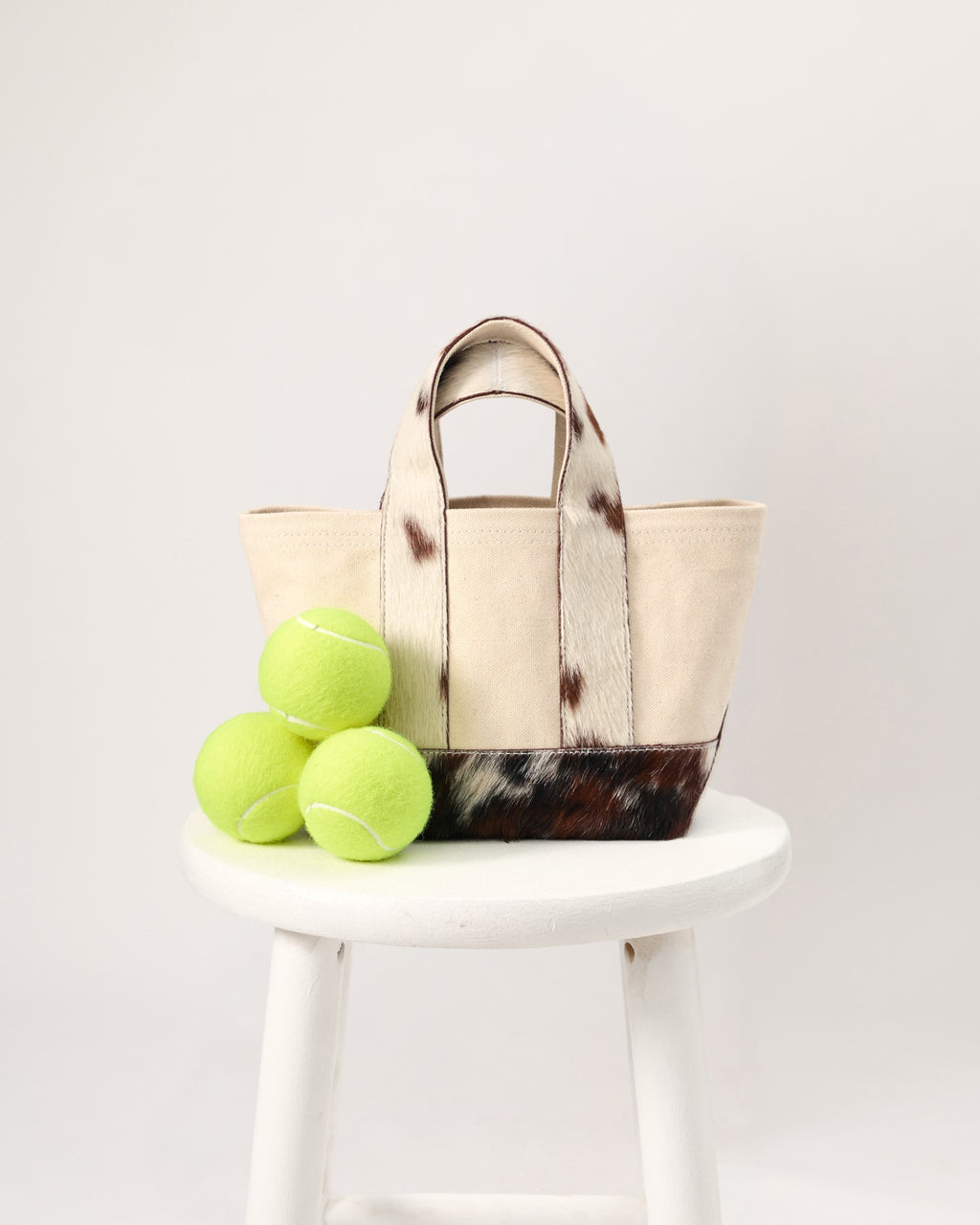 The Telluride Mini Tote