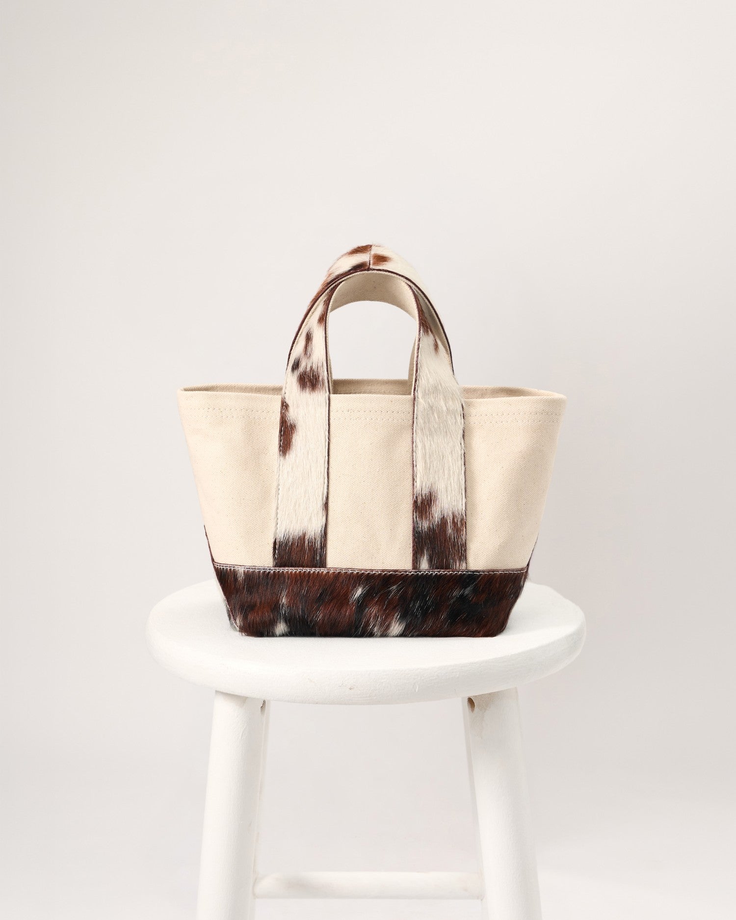The Telluride Mini Tote